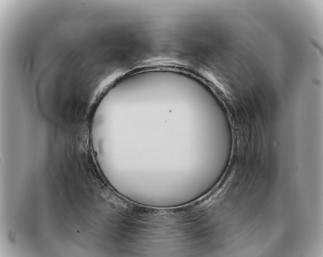 X0000091541358200708171001