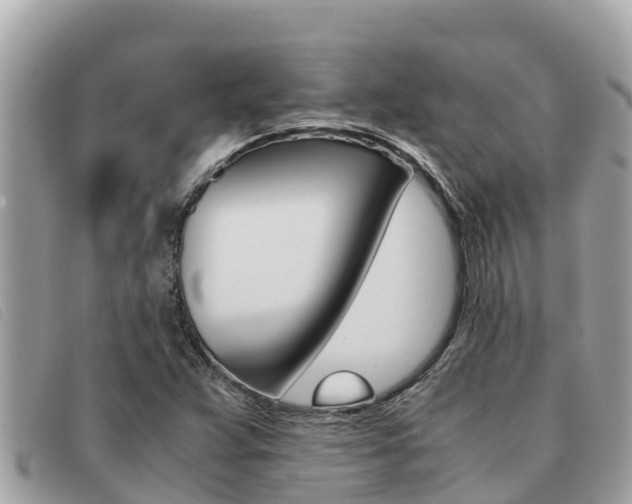 X0000091541359200708171001