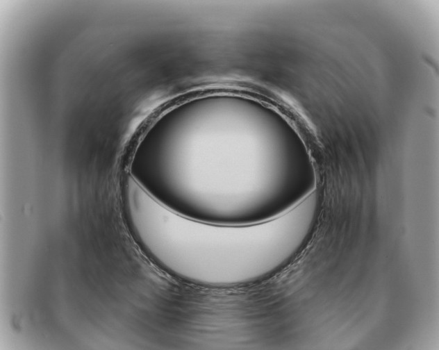 X0000091541360200708171001
