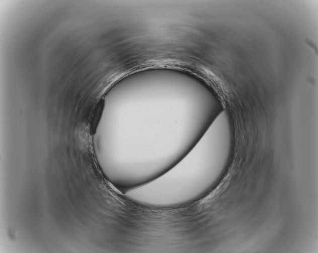 X0000091541361200708171001