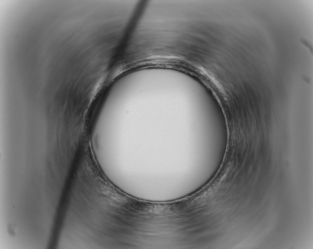 X0000091541362200708171001