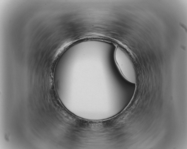 X0000091541363200708171001