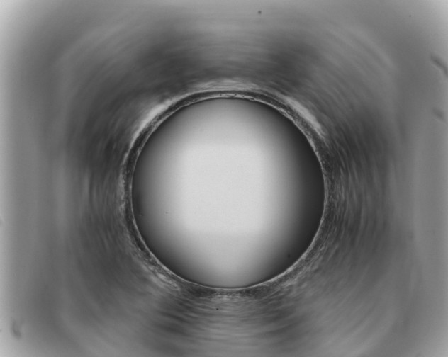 X0000091541364200708171001