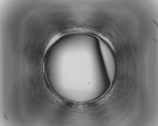 X0000091541365200708171001