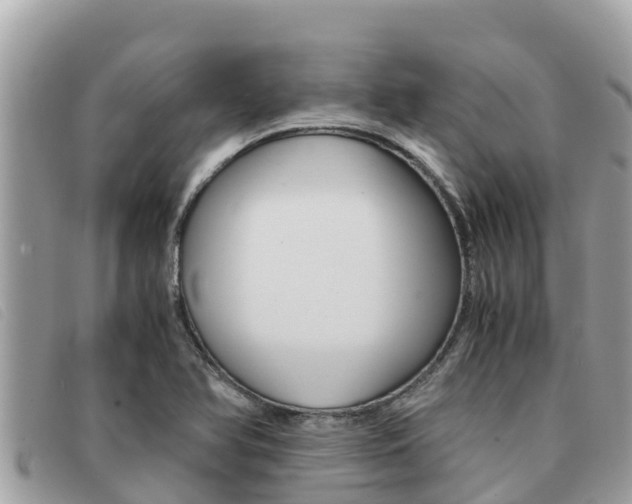 X0000091541366200708171001