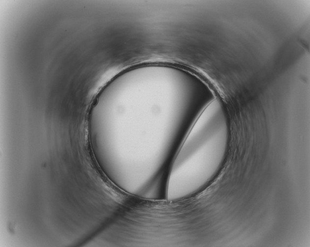 X0000091541367200708171001