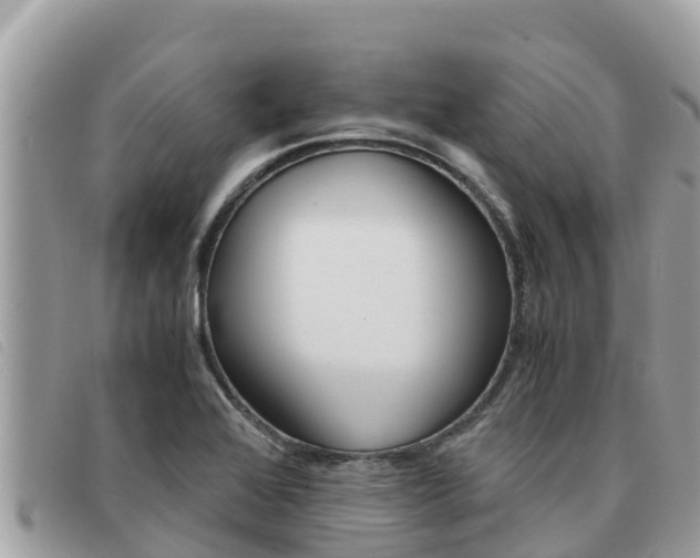 X0000091541368200708171001
