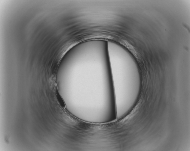 X0000091541369200708171001