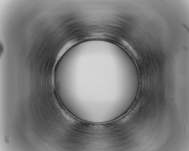 X0000091541370200708171001