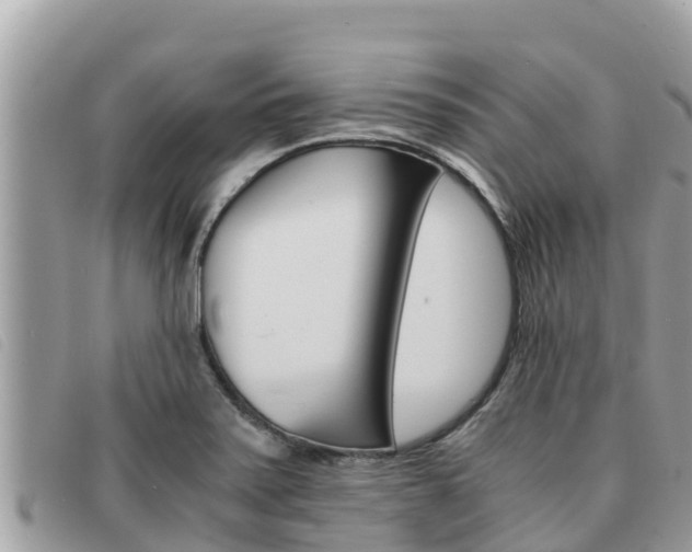 X0000091541371200708171001