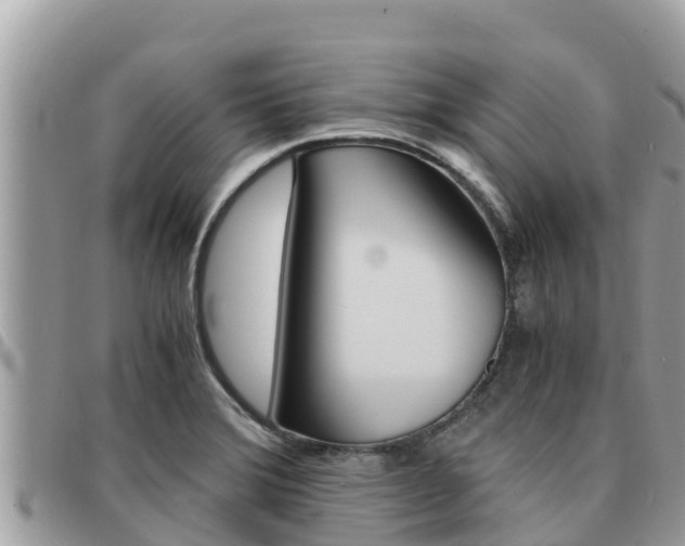 X0000091541372200708171001