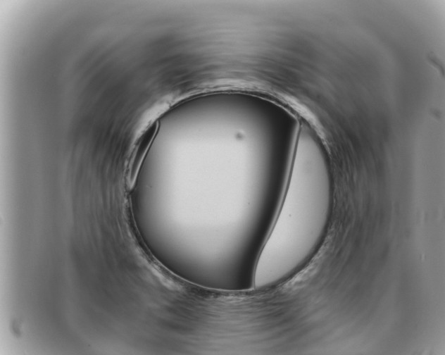 X0000091541373200708171001