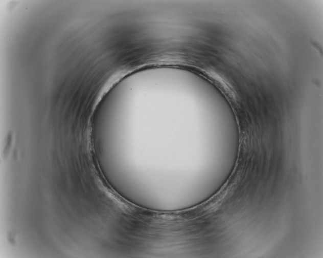 X0000091541374200708171001