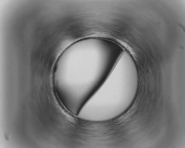 X0000091541375200708171001