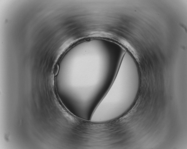 X0000091541376200708171001