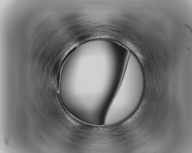 X0000091541377200708171001
