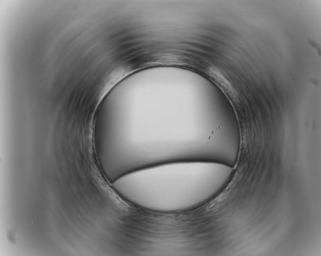 X0000091541378200708171001