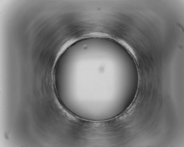 X0000091541381200708171001