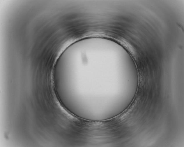 X0000091541382200708171001