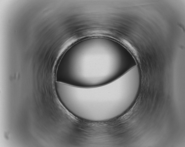 X0000091541384200708171001