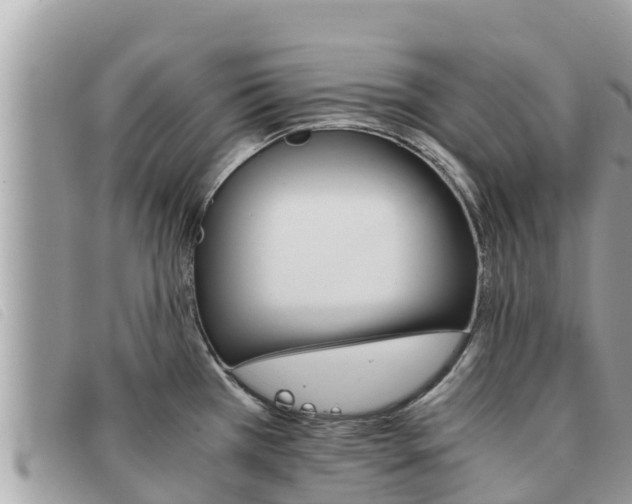 X0000091541385200708171001