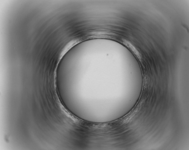X0000091541386200708171001