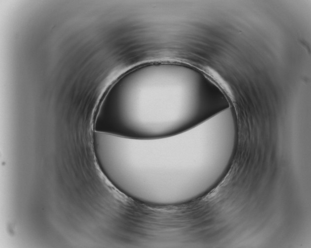 X0000091541388200708171001