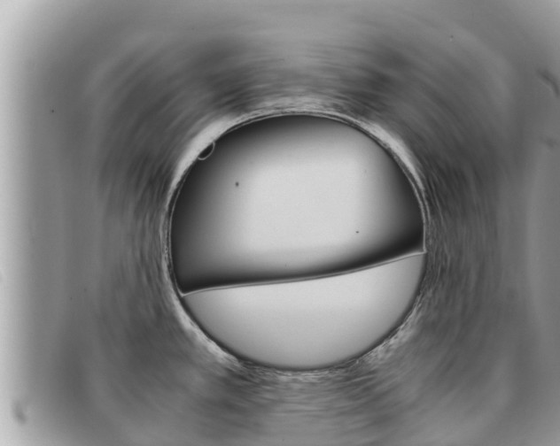 X0000091541389200708171001
