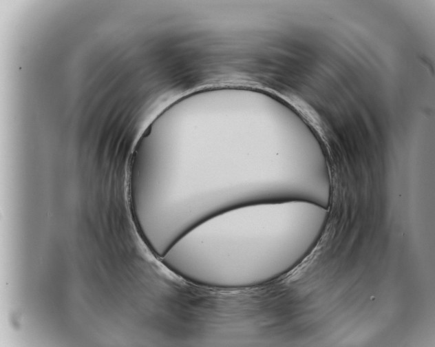 X0000091541390200708171001