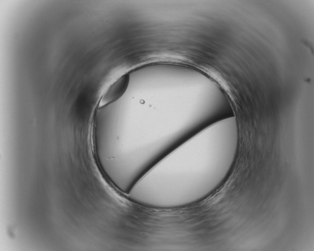 X0000091541391200708171001