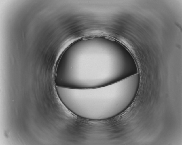 X0000091541392200708171001