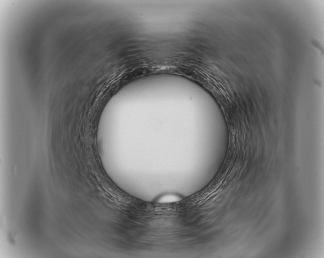 X0000091541393200708171000