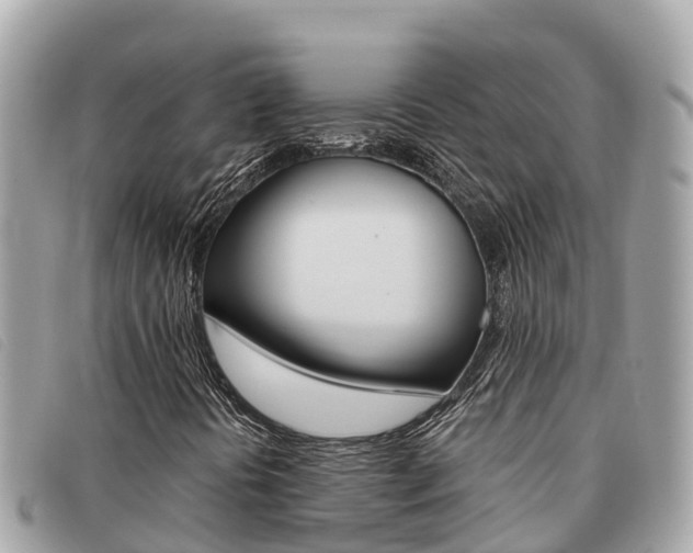 X0000091541394200708171000