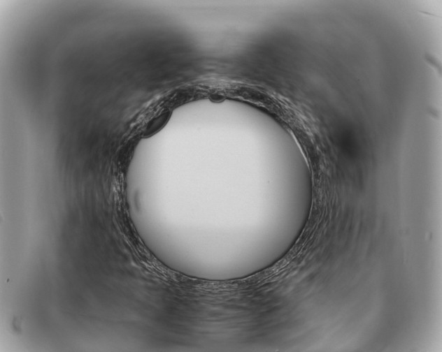 X0000091541397200708171000