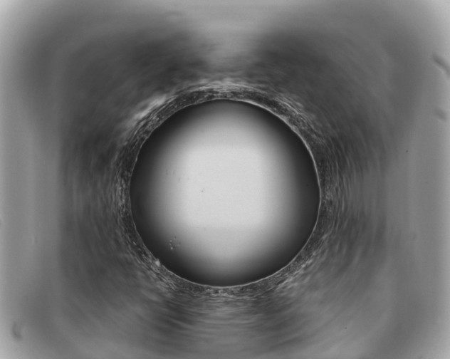 X0000091541398200708171000