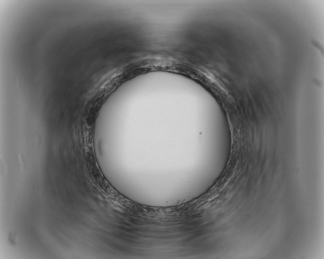 X0000091541399200708171000