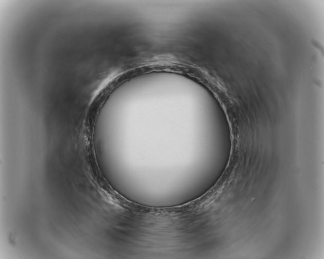 X0000091541400200708171000