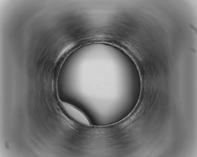 X0000091541402200708171000