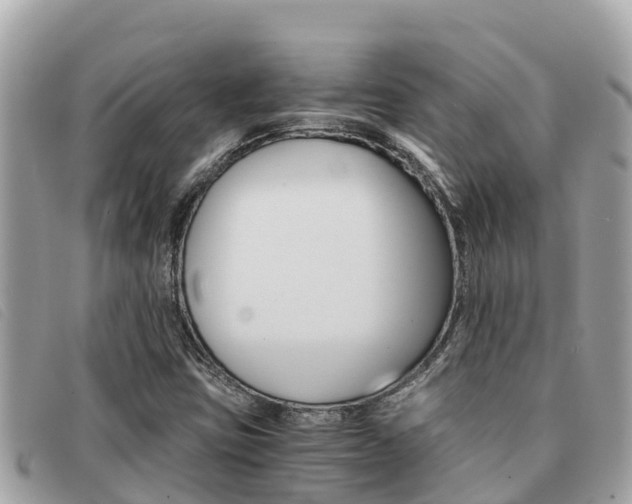 X0000091541403200708171000