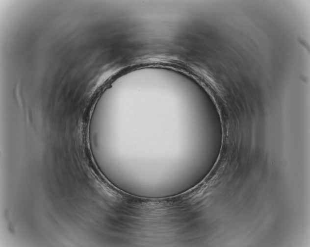 X0000091541404200708171000
