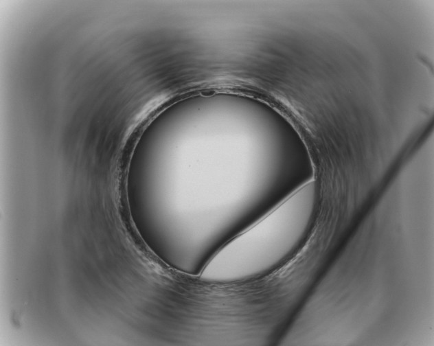 X0000091541410200708171001