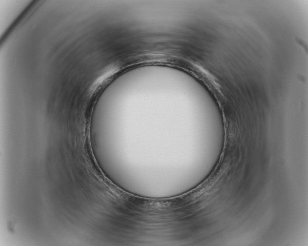 X0000091541411200708171001