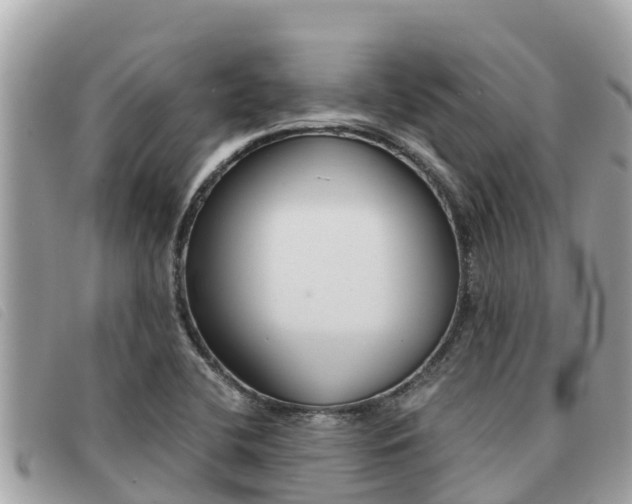 X0000091541412200708171001