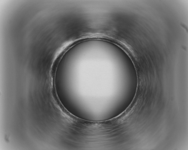 X0000091541414200708171001