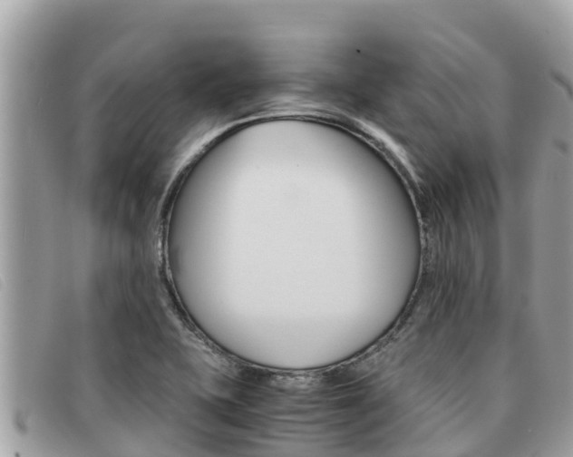 X0000091541415200708171001