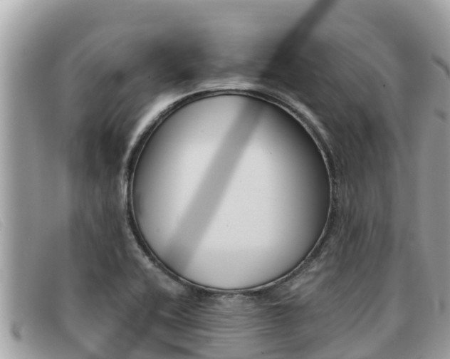 X0000091541416200708171001