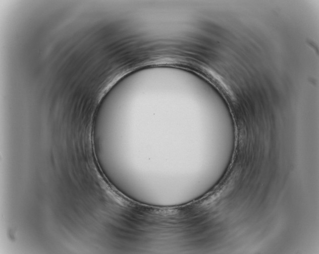 X0000091541417200708171001