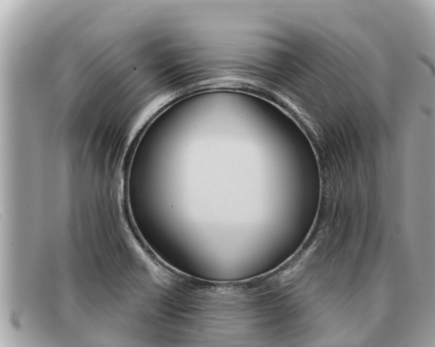 X0000091541418200708171001