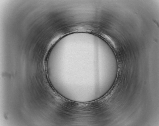 X0000091541419200708171001