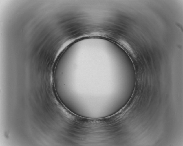 X0000091541420200708171001